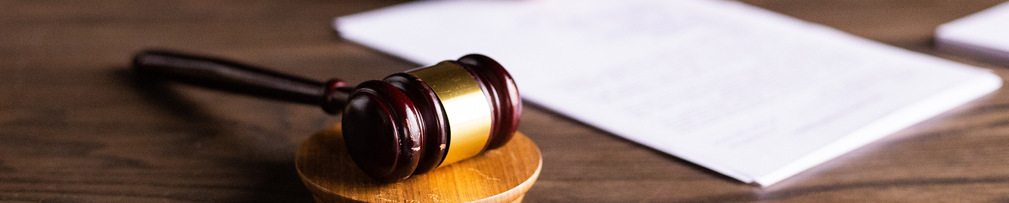 LPBanner-5thJudicialCircuit